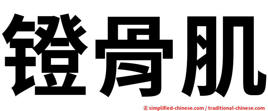 镫骨肌