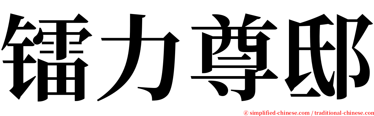 镭力尊邸 serif font