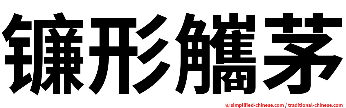 镰形觿茅