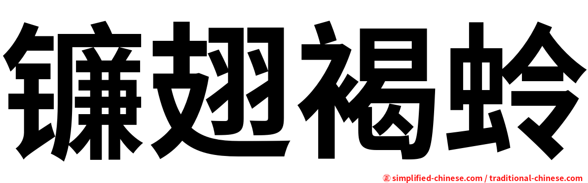 镰翅褐蛉