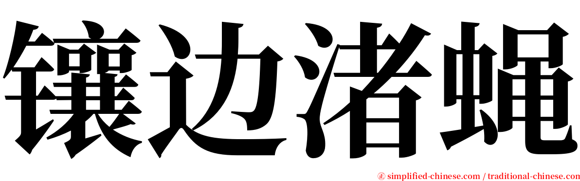 镶边渚蝇 serif font