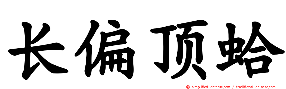 长偏顶蛤