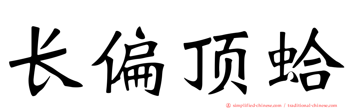 长偏顶蛤