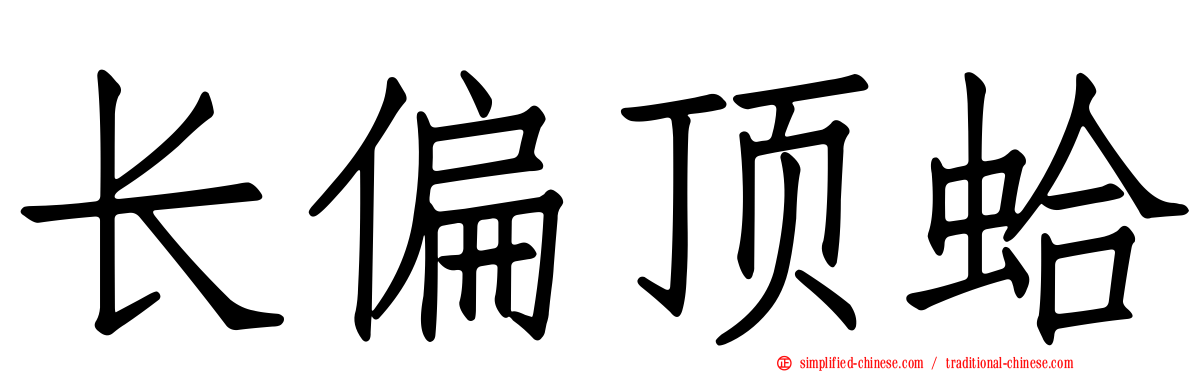 长偏顶蛤