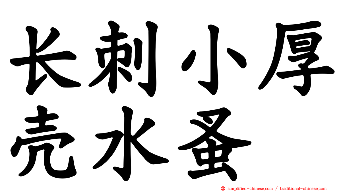 长刺小厚壳水蚤