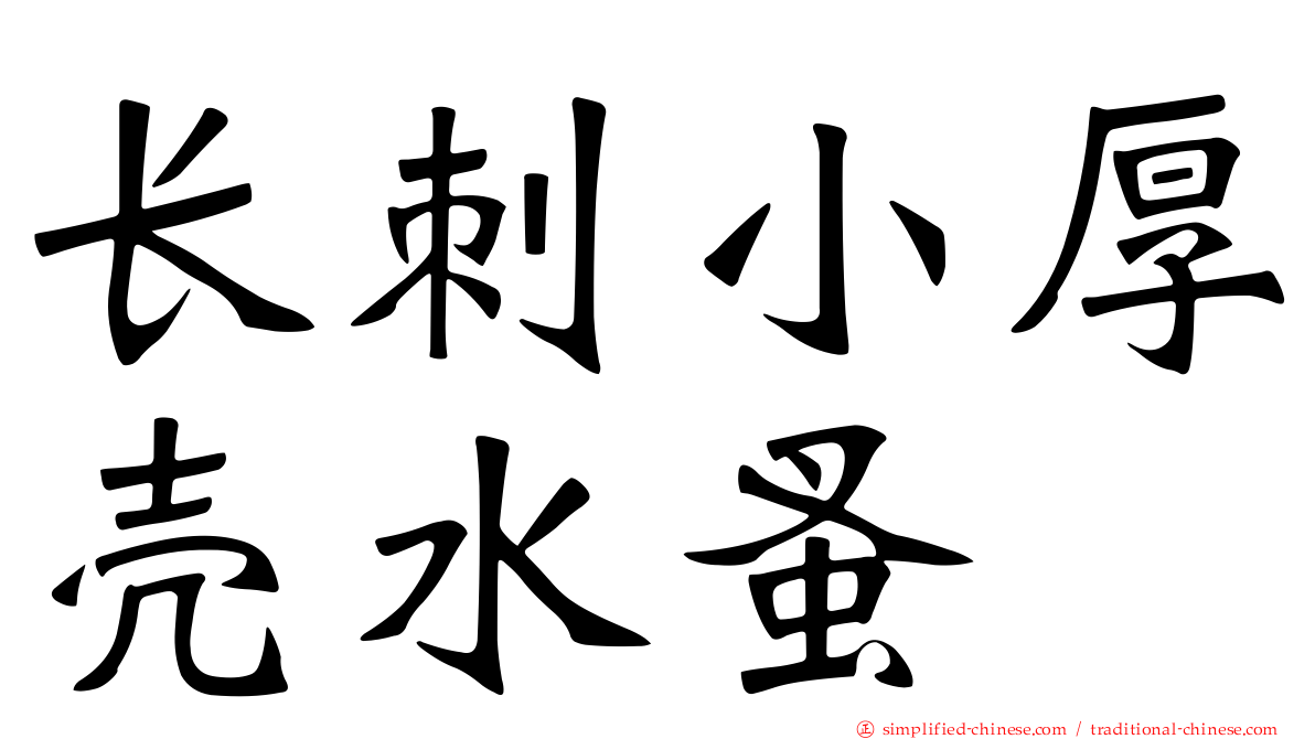 长刺小厚壳水蚤