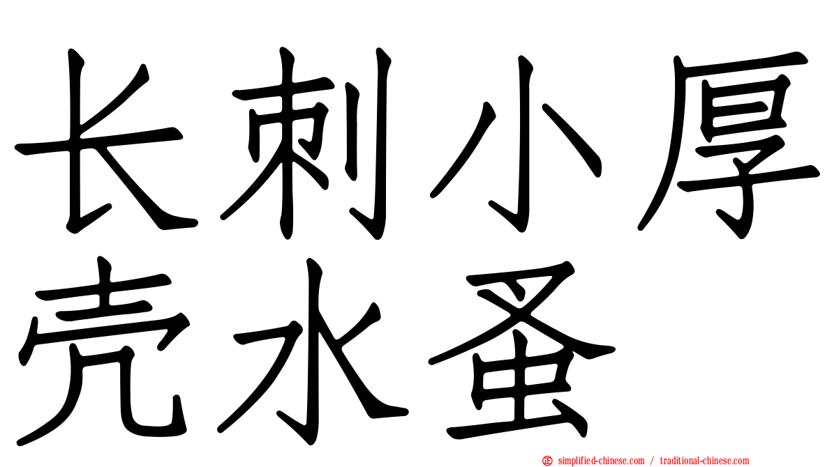 长刺小厚壳水蚤