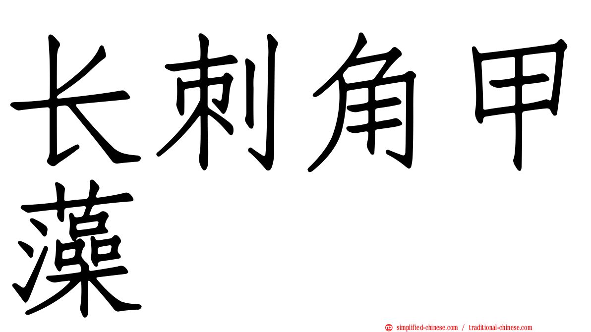 长刺角甲藻