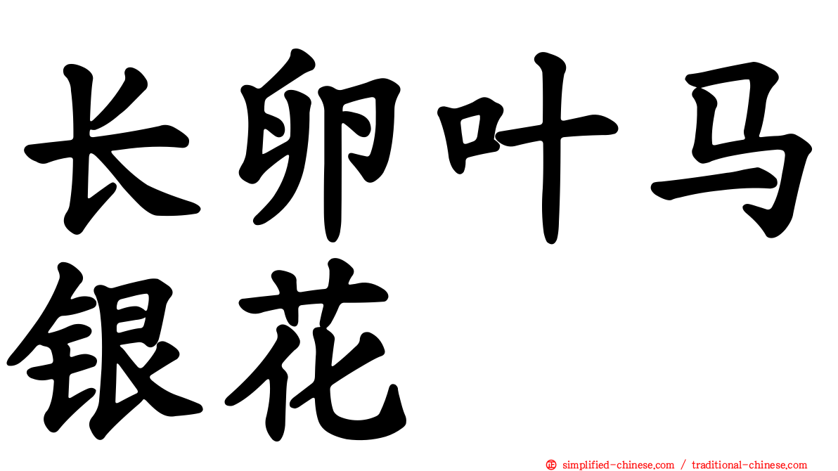 长卵叶马银花
