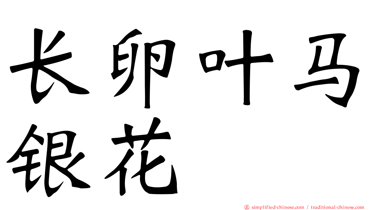长卵叶马银花