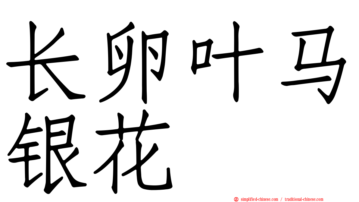 长卵叶马银花