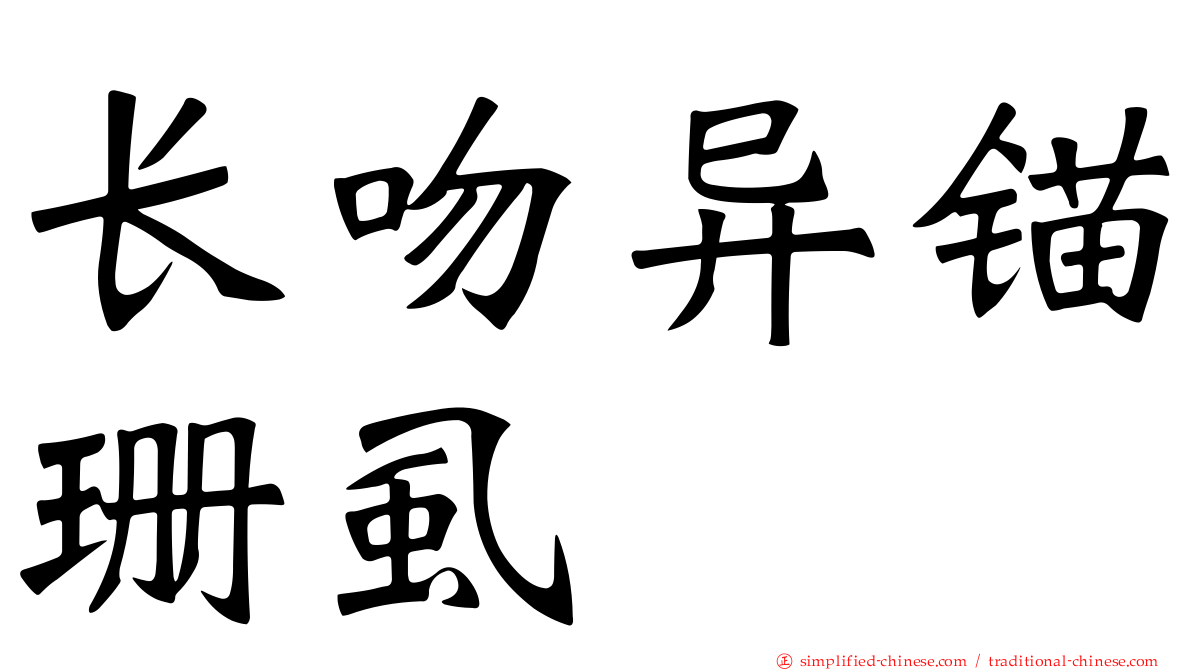 长吻异锚珊虱