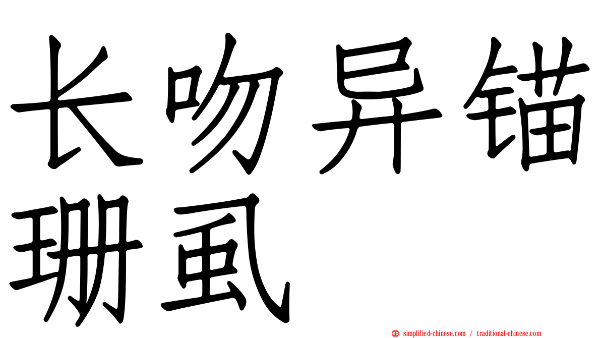 长吻异锚珊虱