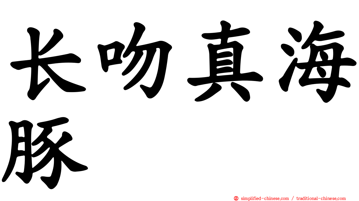 长吻真海豚