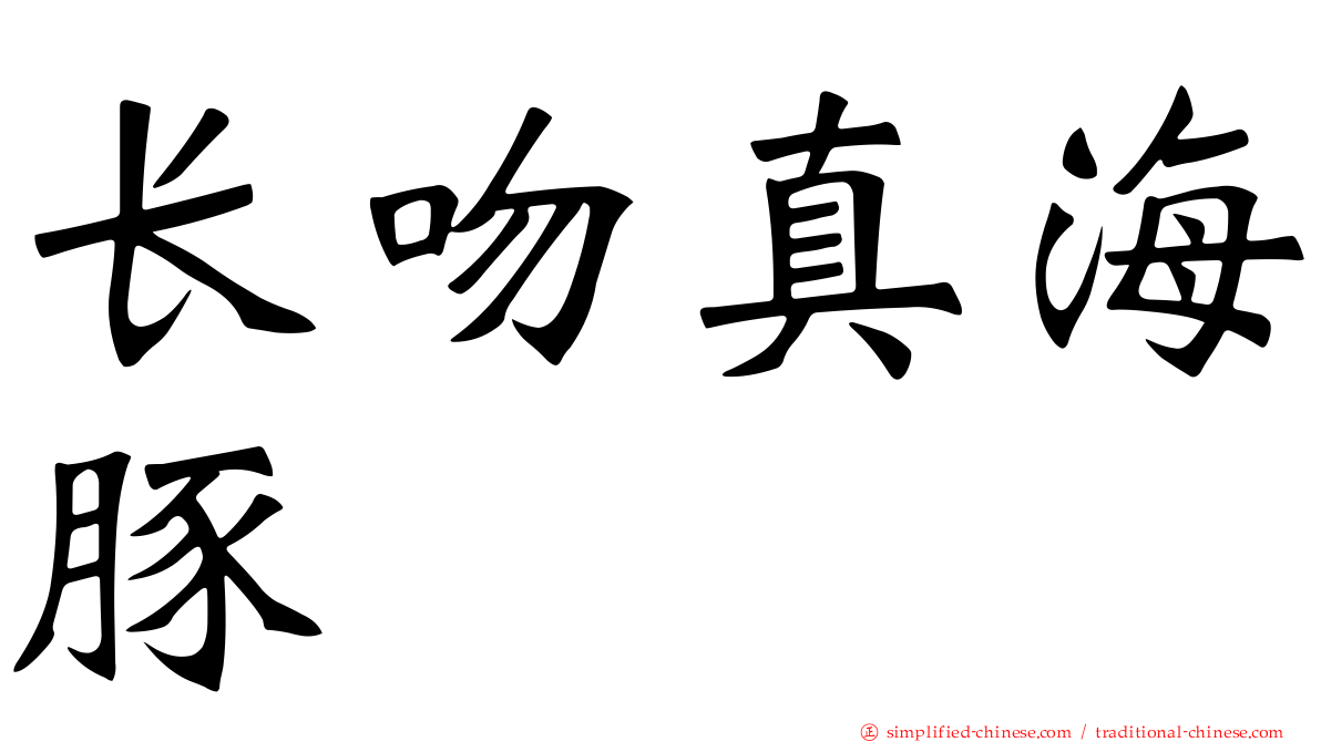 长吻真海豚