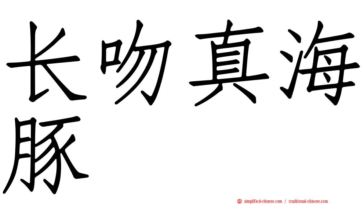 长吻真海豚