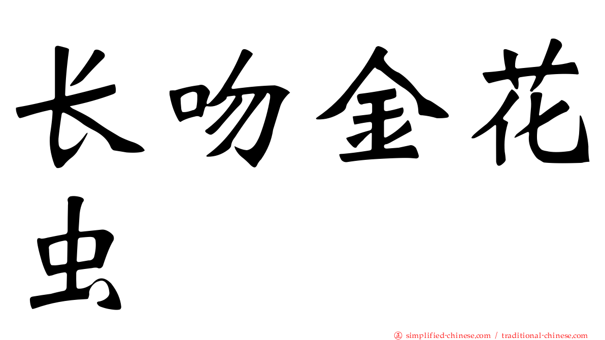 长吻金花虫