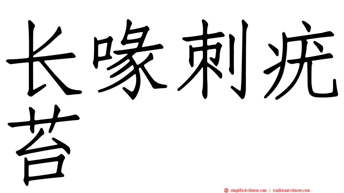 长喙刺疣苔