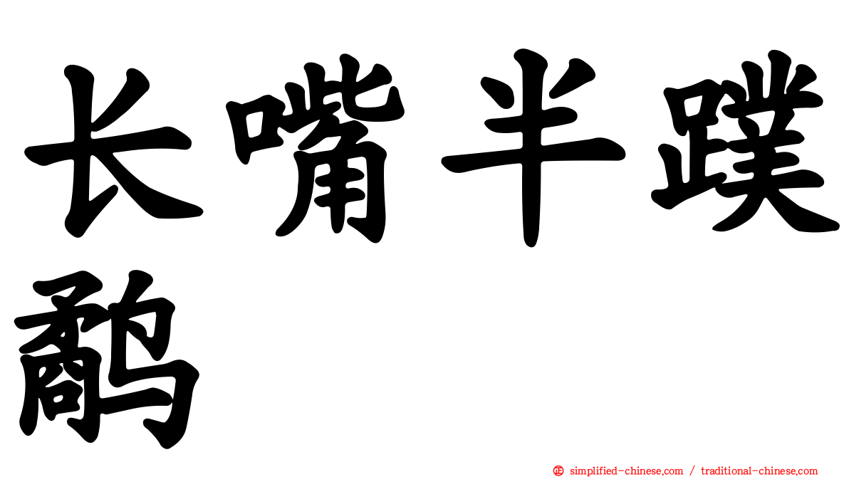 长嘴半蹼鹬