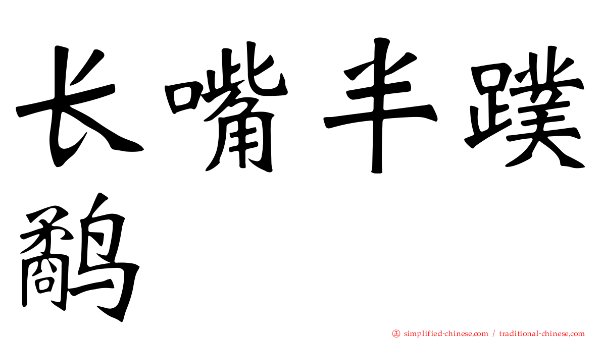 长嘴半蹼鹬