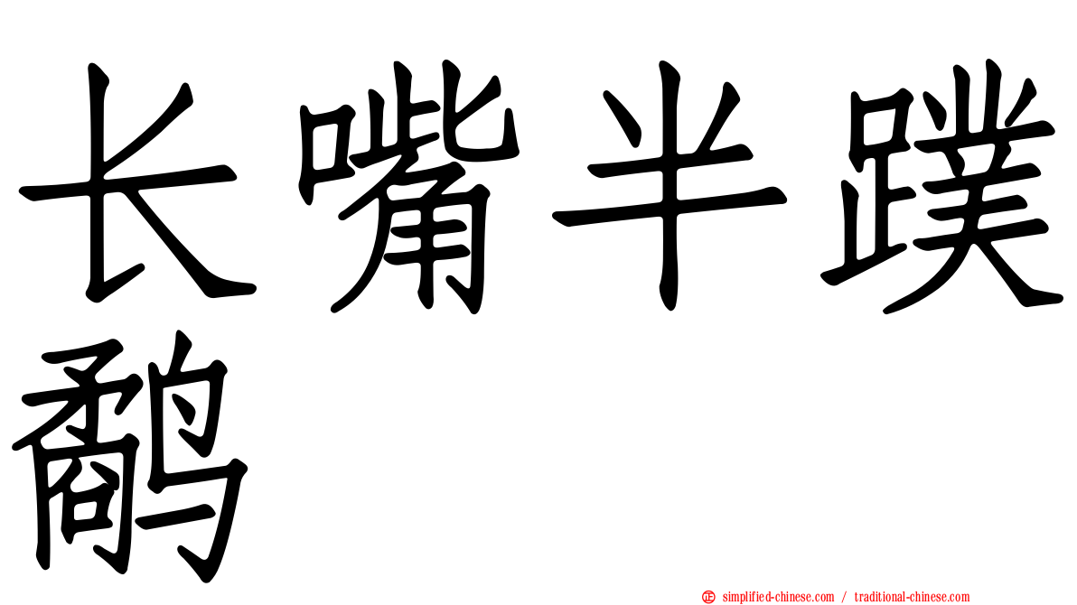 长嘴半蹼鹬