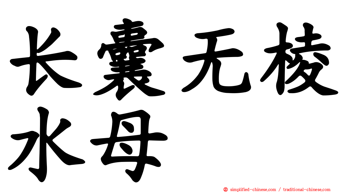 长囊无棱水母