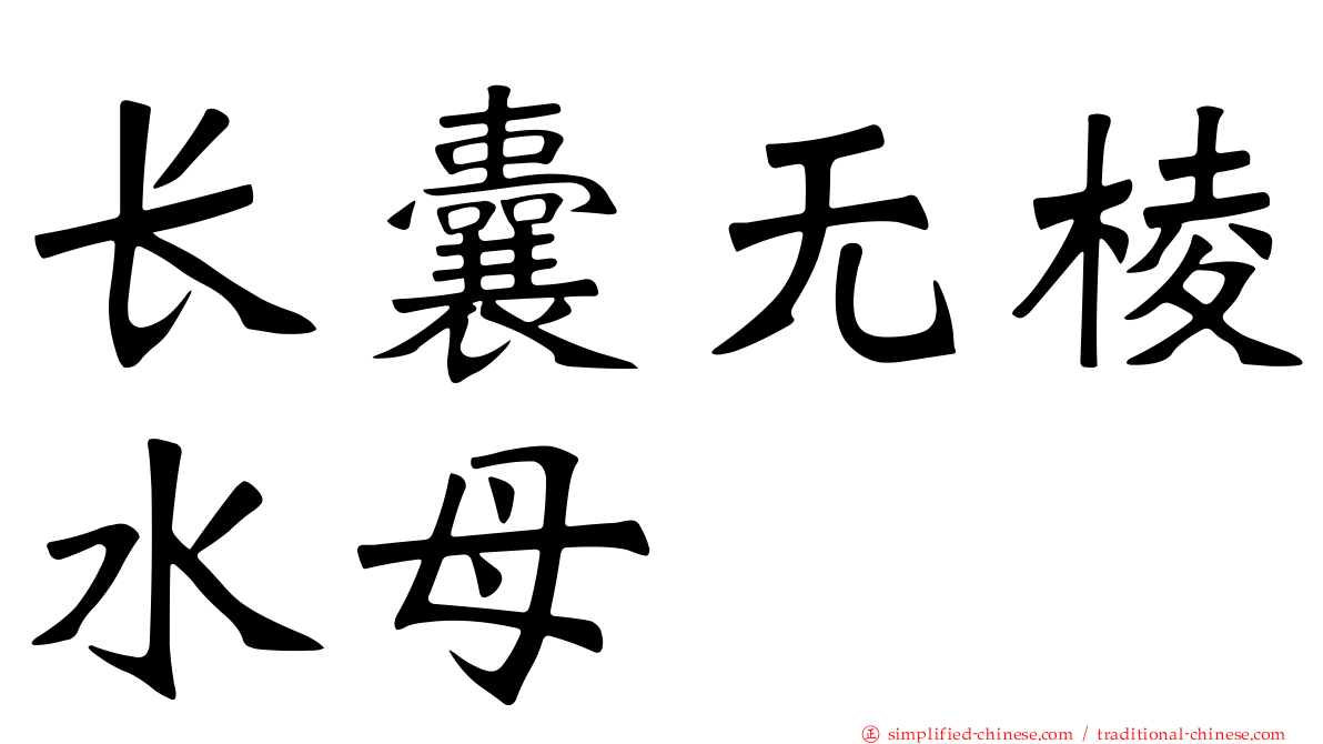 长囊无棱水母