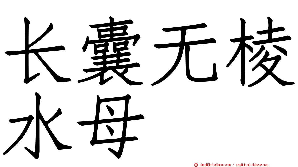 长囊无棱水母