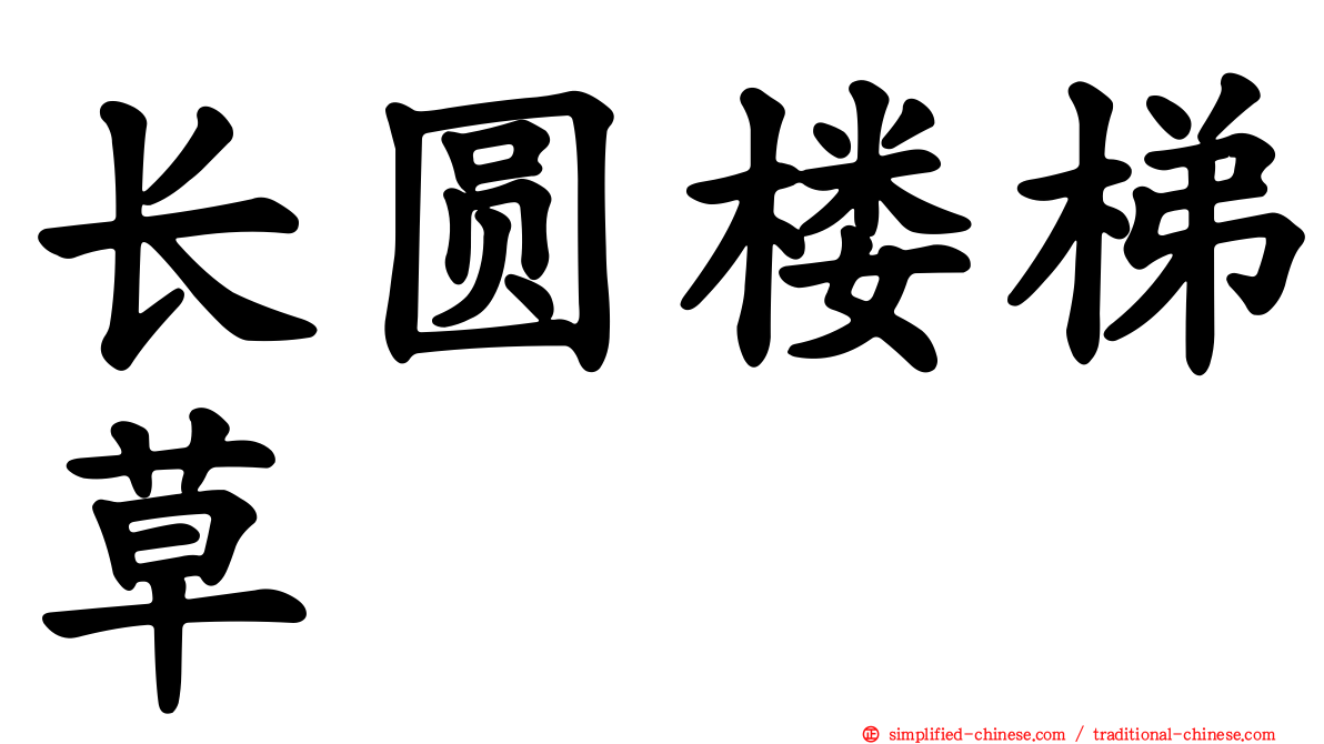 长圆楼梯草