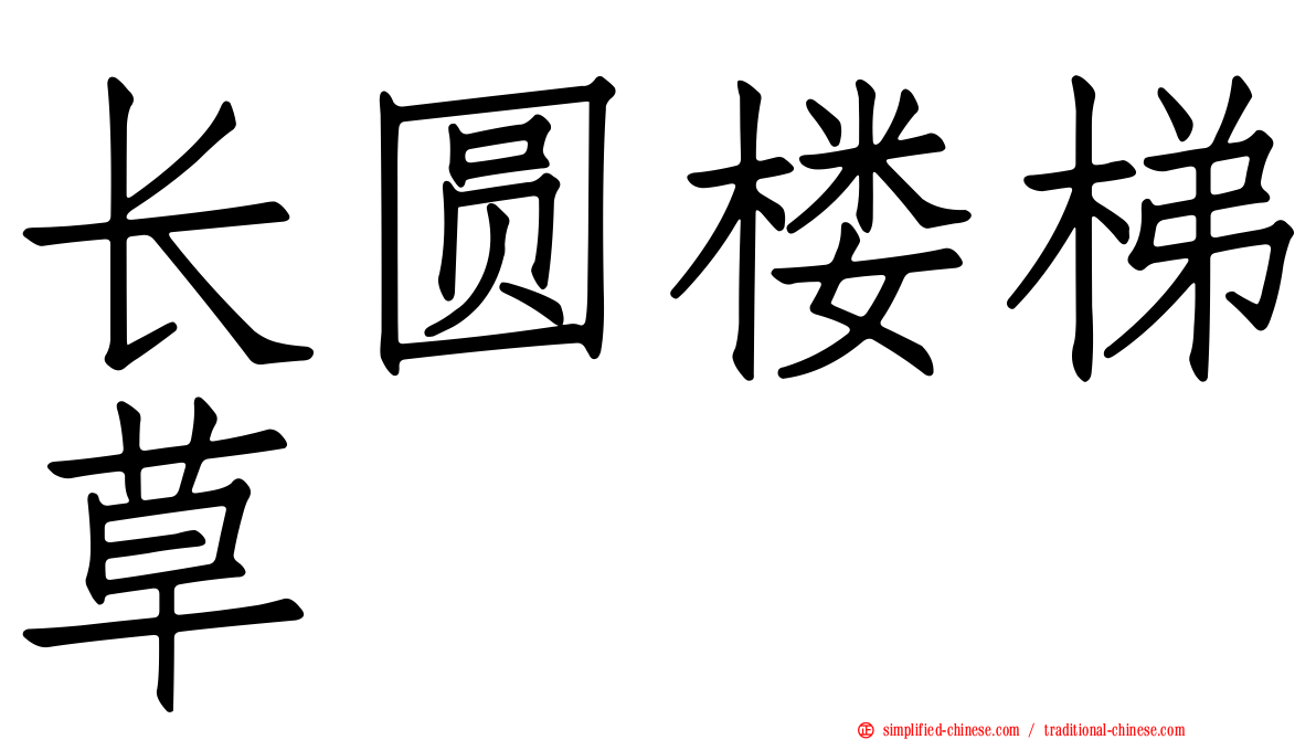 长圆楼梯草