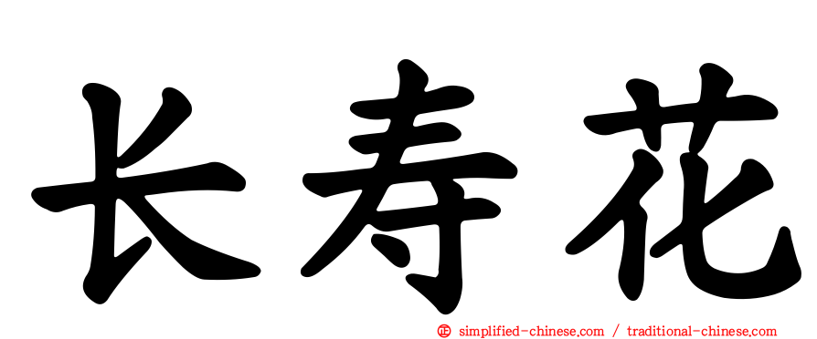 长寿花