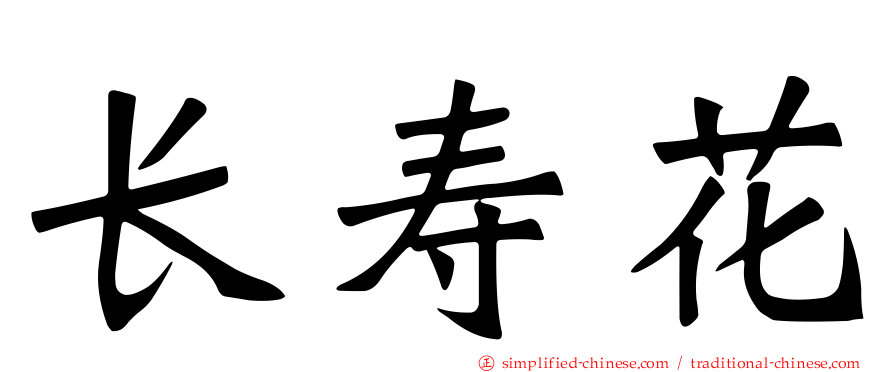 长寿花