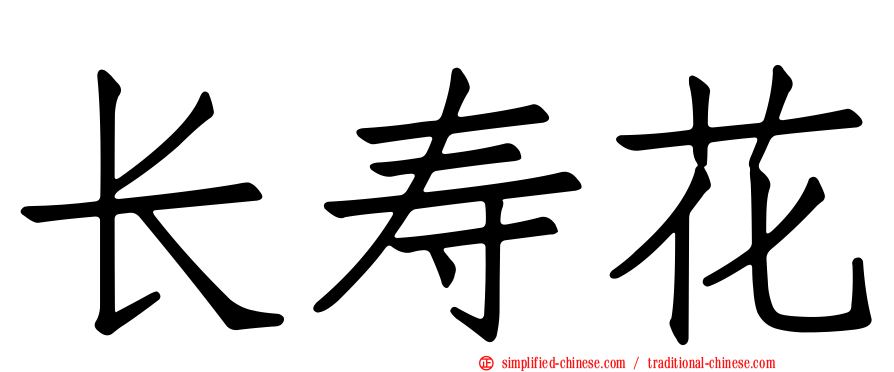 长寿花
