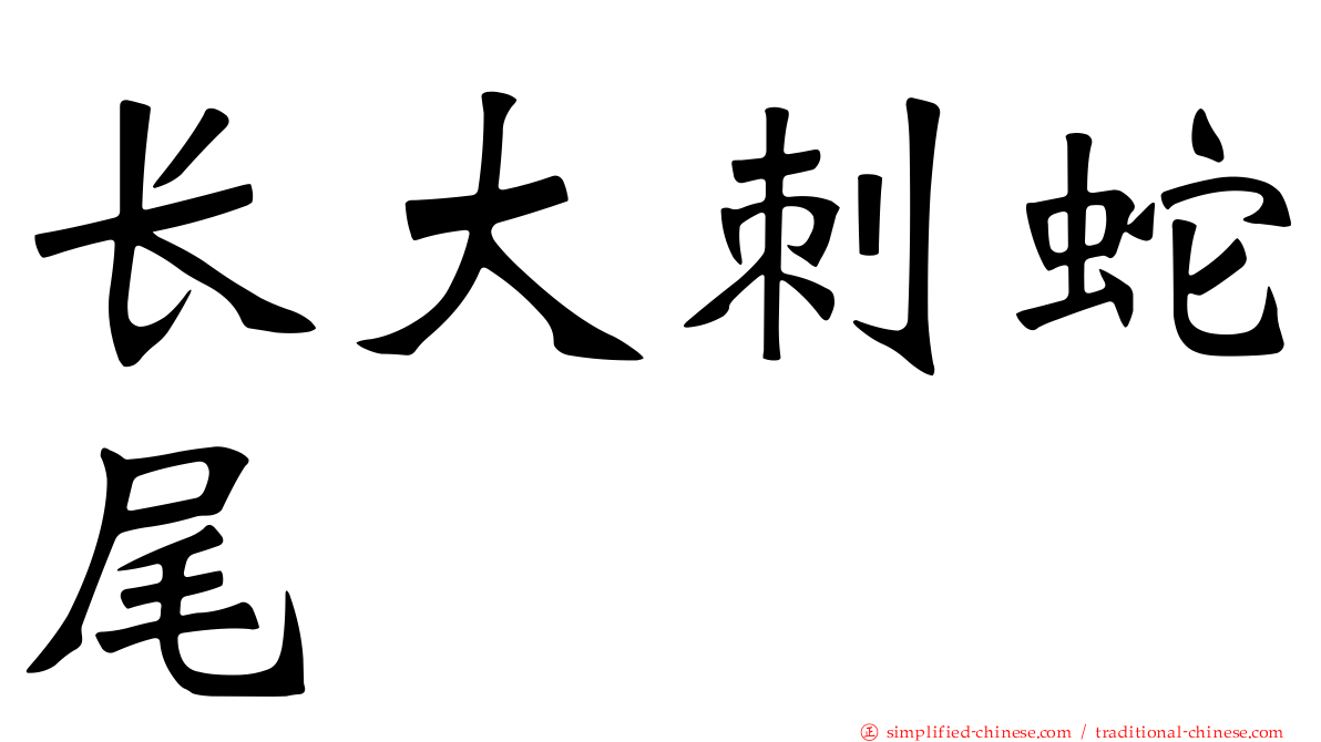 长大刺蛇尾