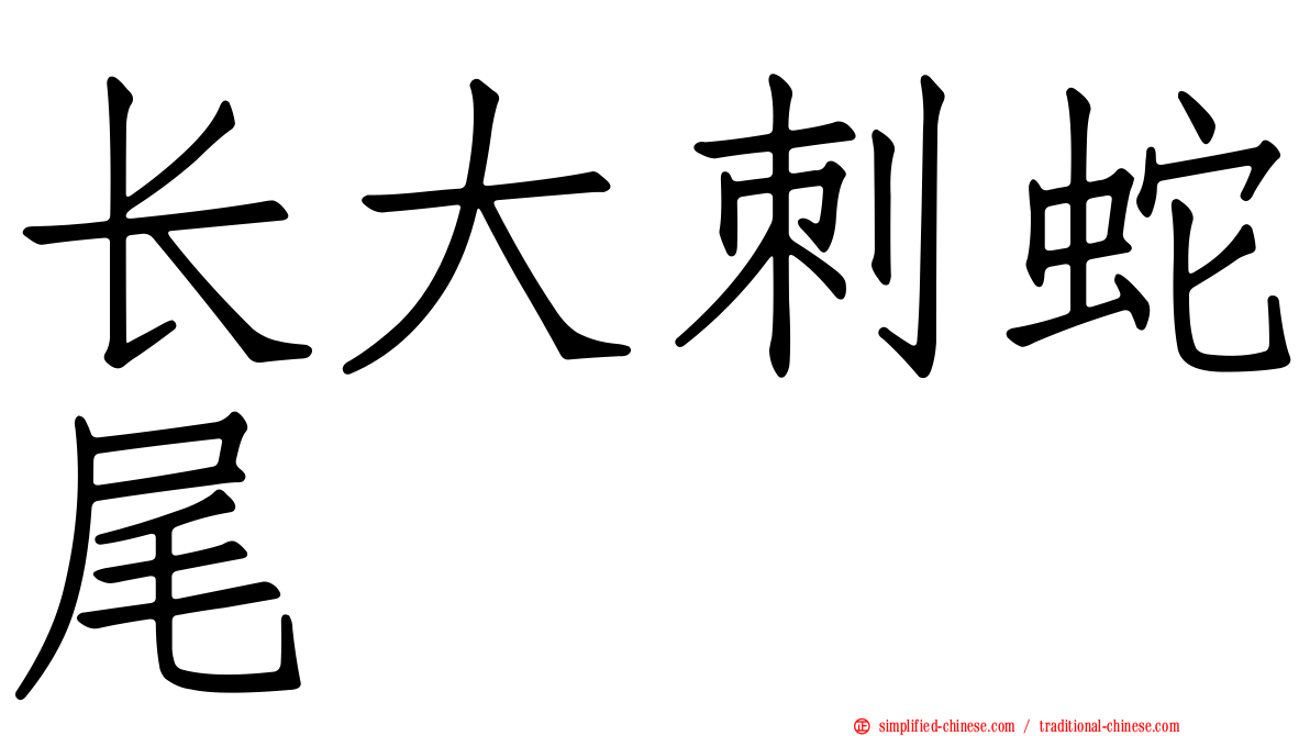 长大刺蛇尾