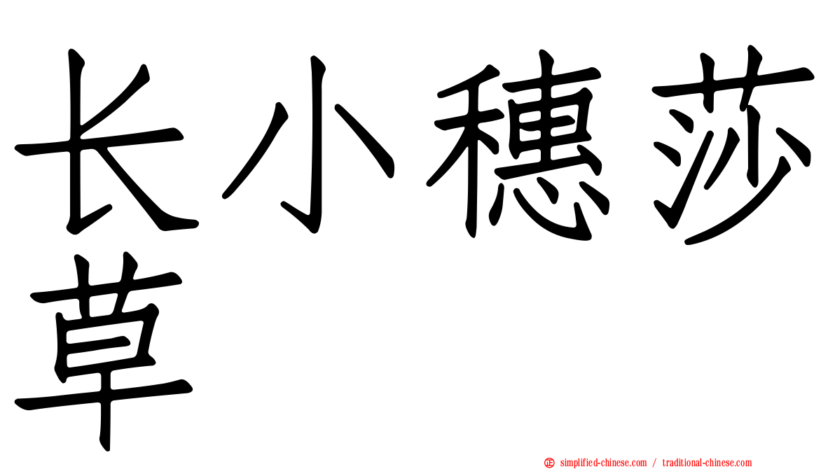 长小穗莎草