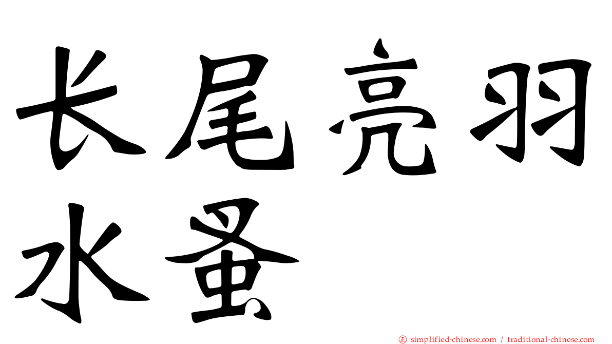 长尾亮羽水蚤