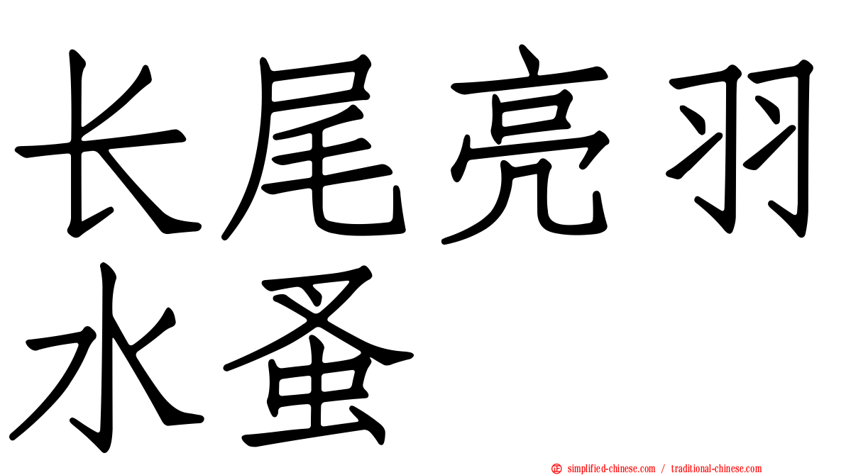 长尾亮羽水蚤
