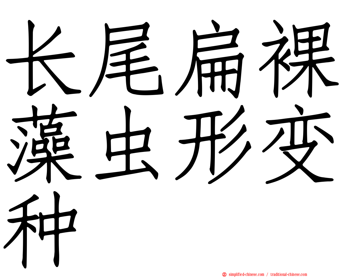 长尾扁裸藻虫形变种