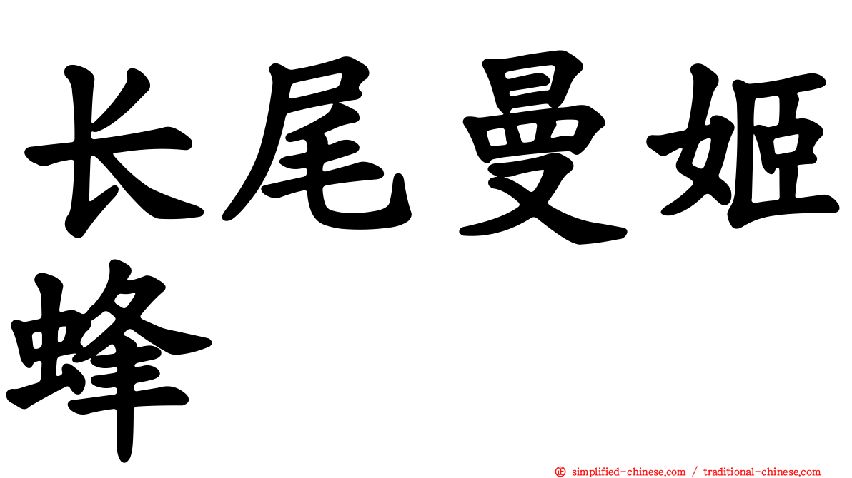 长尾曼姬蜂