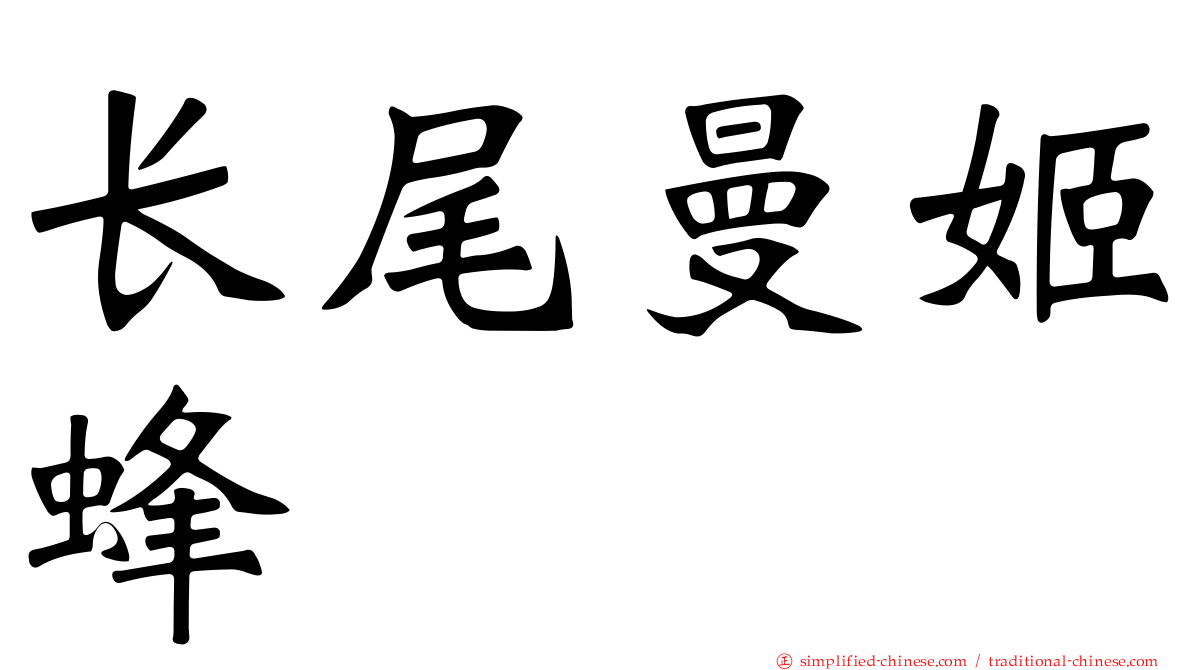 长尾曼姬蜂