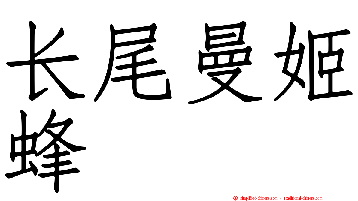 长尾曼姬蜂
