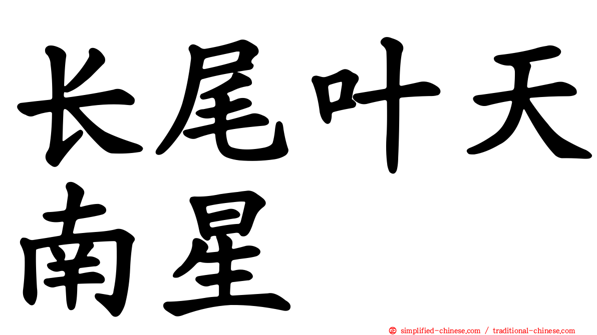 长尾叶天南星