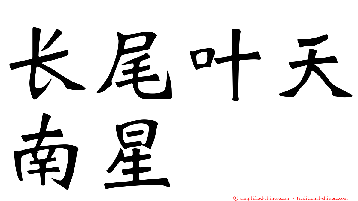 长尾叶天南星