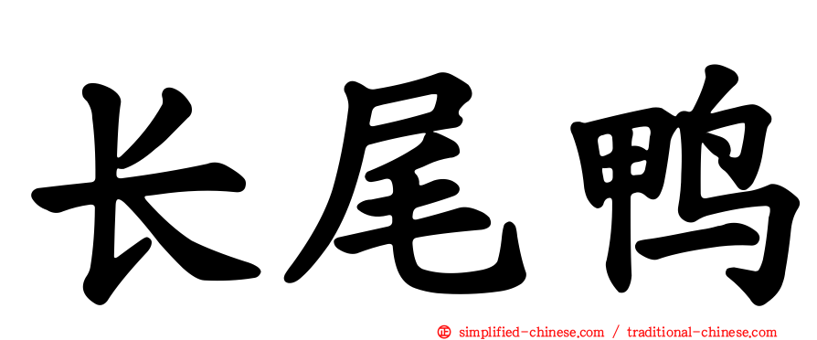 长尾鸭