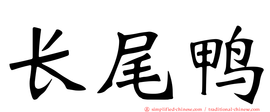 长尾鸭