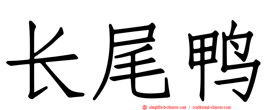 长尾鸭