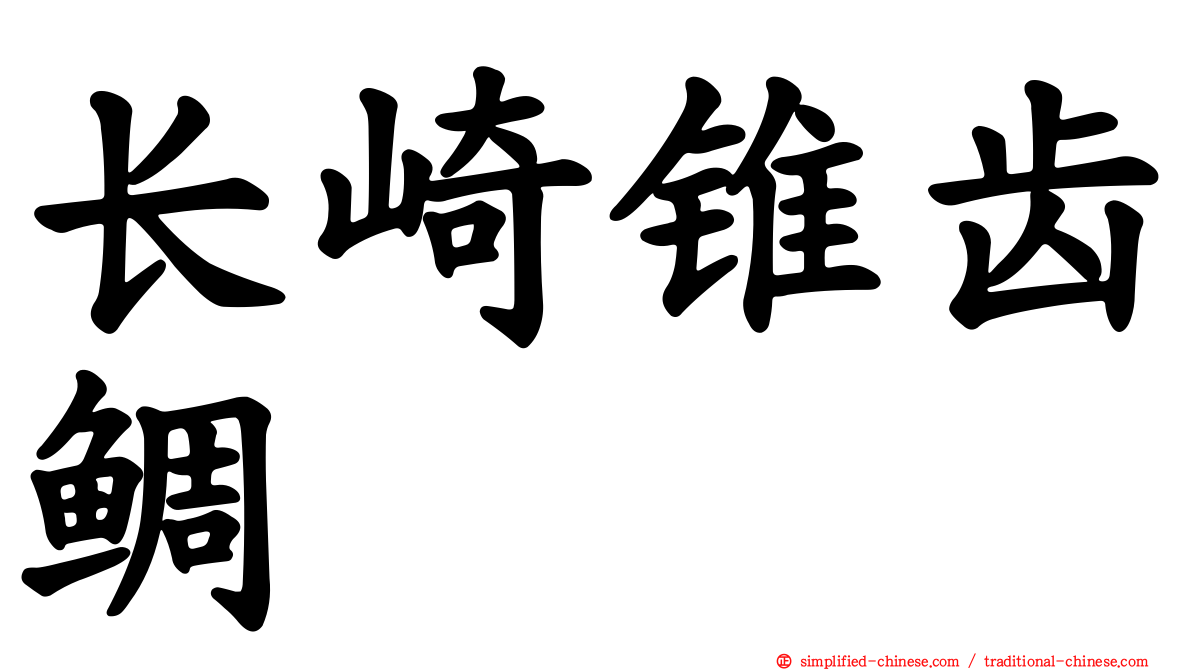 长崎锥齿鲷