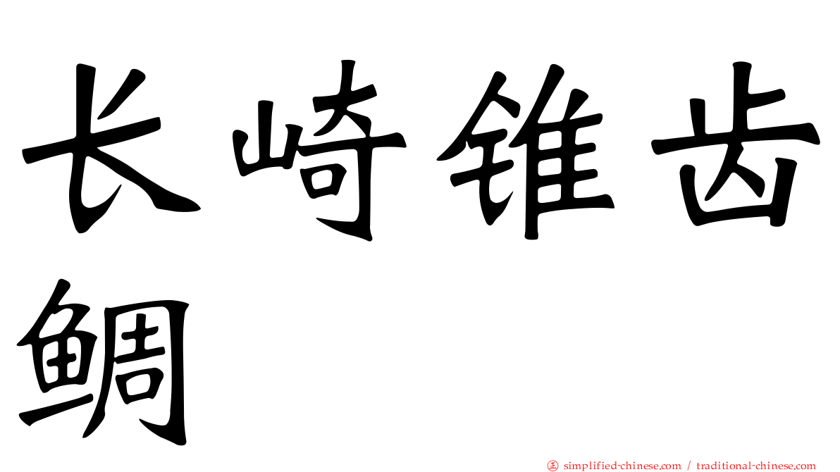 长崎锥齿鲷