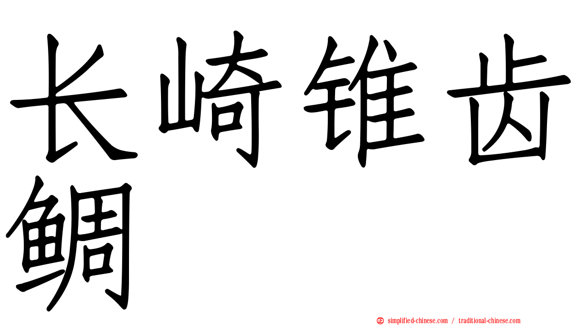 长崎锥齿鲷